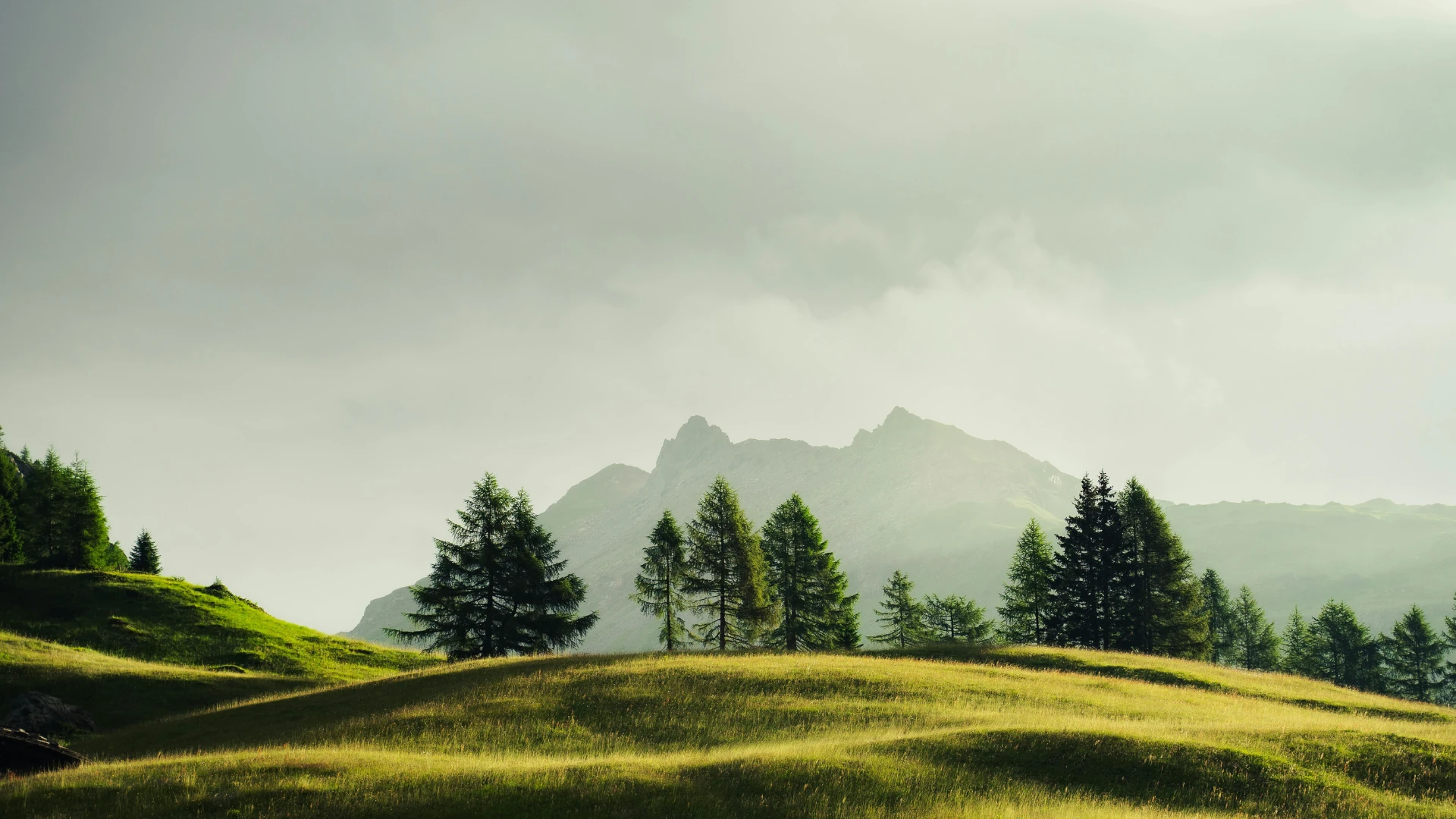 Sustainability creates a better future